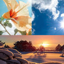 weatherWorld APK
