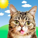 Weather BUB biểu tượng