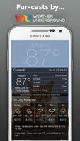 Weather BUB captura de pantalla 3