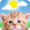 Weather Kitty