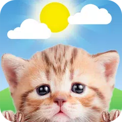 Weather Kitty - App & Widget Weather Forecast