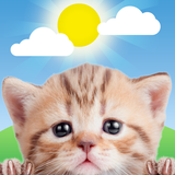 お天気ネコ (Weather Kitty) APK