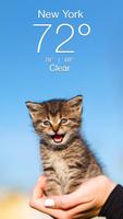 Weather Kitty Affiche