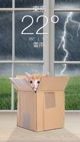 Weather Kitty 截图 3