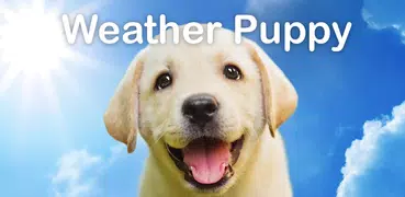 Weather Puppy - App & Widget