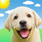 Weather Puppy ikon