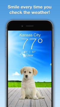 Weather Puppy 海报