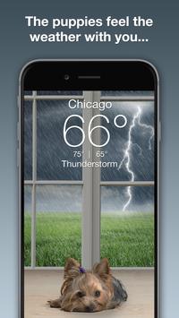 Weather Puppy 截图 1