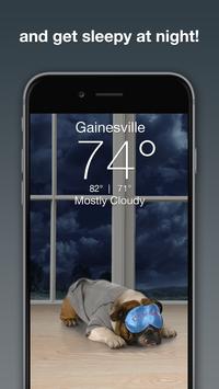 Weather Puppy 截图 2