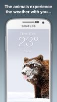 Wildlife Weather 截图 1