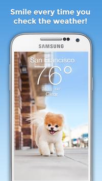 Boo Weather 海报