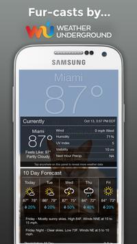 Boo Weather 截图 3