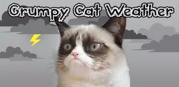 Grumpy Cat Weather