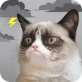 Grumpy Weather