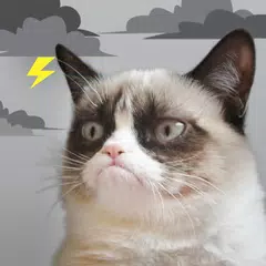 Descargar XAPK de Grumpy Cat Clima