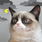 Grumpy Cat Weather ไอคอน
