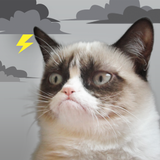 Grumpy Cat Weather Zeichen