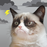 Grumpy Cat Weather biểu tượng