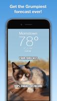 Grumpy Cat Weather โปสเตอร์