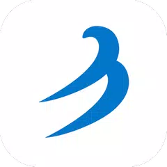 Wind & Weather Meter APK 下載