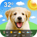 Live Weather Puppy Wallpaper