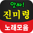 진미령 노래모음 히트곡 APK