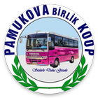 Pamukova Birlik Koop ikona