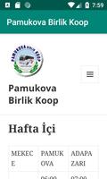 Pamukova Birlik Koop 海报