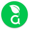 Allura APK