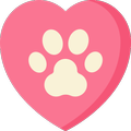 Pet Friendly Hotel Stays