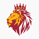 Webaslan - Galatasaray haber APK