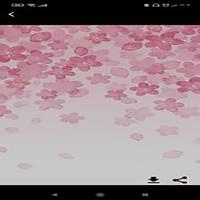 خلفيات وردية ناعمة كيوت دون نت screenshot 2