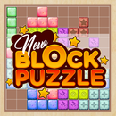 Block Puzzle 2021 APK