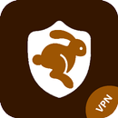 Lite Vpn - Super fast VPN APK