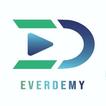 Everdemy Meet extension