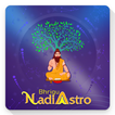 Bhrigu Nadi Touch