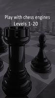 Chess Moves Poster