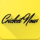 Cricket Now Update All Crick Info you need ícone