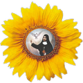 ApostoladoTV