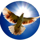 espiritodagraca biểu tượng