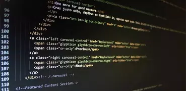 HTML & CSS Basics