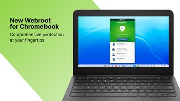 Webroot® for Chromebook پوسٹر