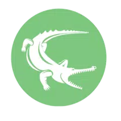 Crocodile Browser: Browse Fast APK 下載