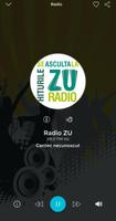 Radio ZU скриншот 1