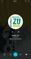 Radio ZU screenshot 1