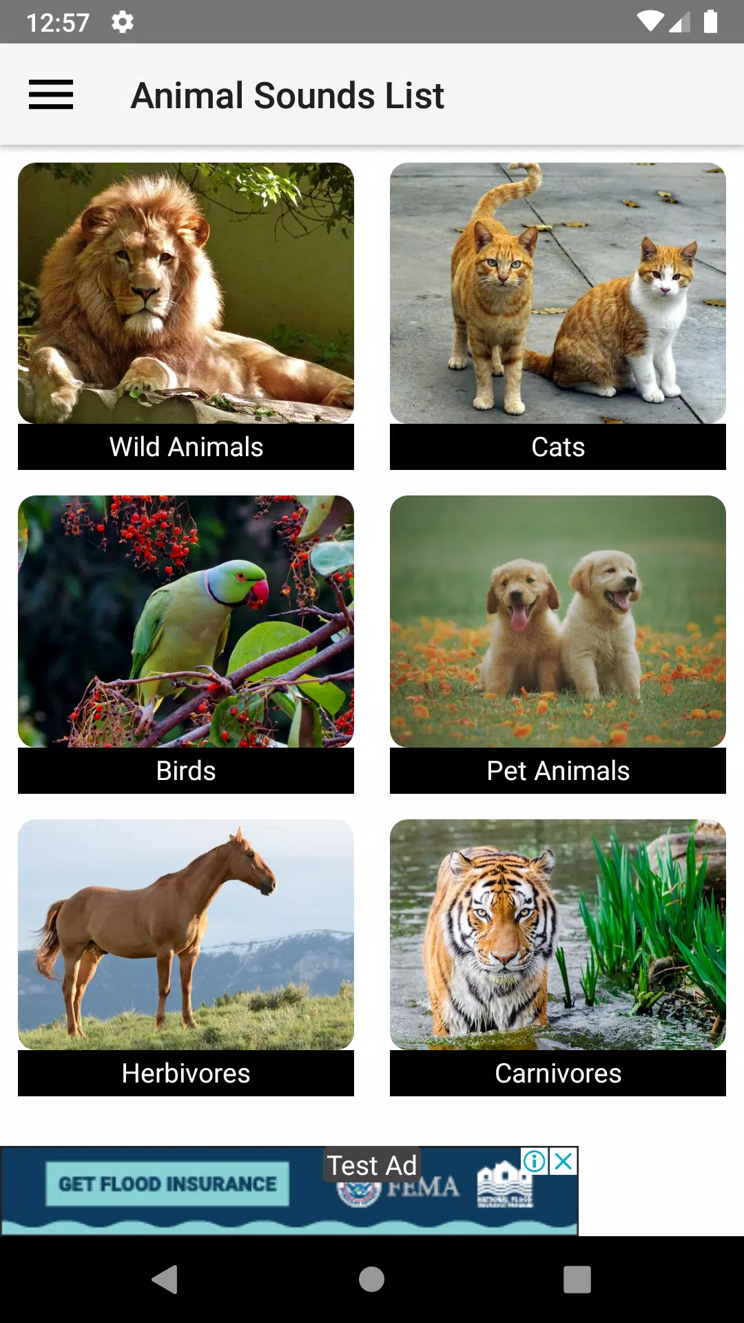 Animal sounds for kids and toddlers APK for Android Download