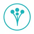 WeddingWire