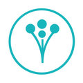 WeddingWire