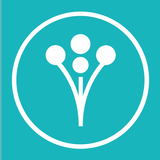 APK Wedding Planner by WeddingWire