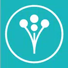 Wedding Planner by WeddingWire